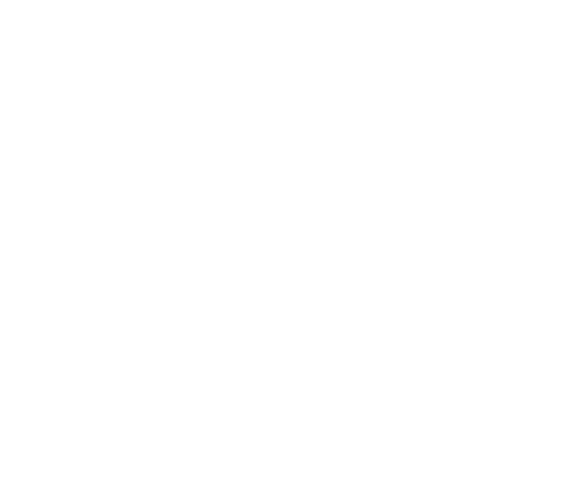 Unique Finance