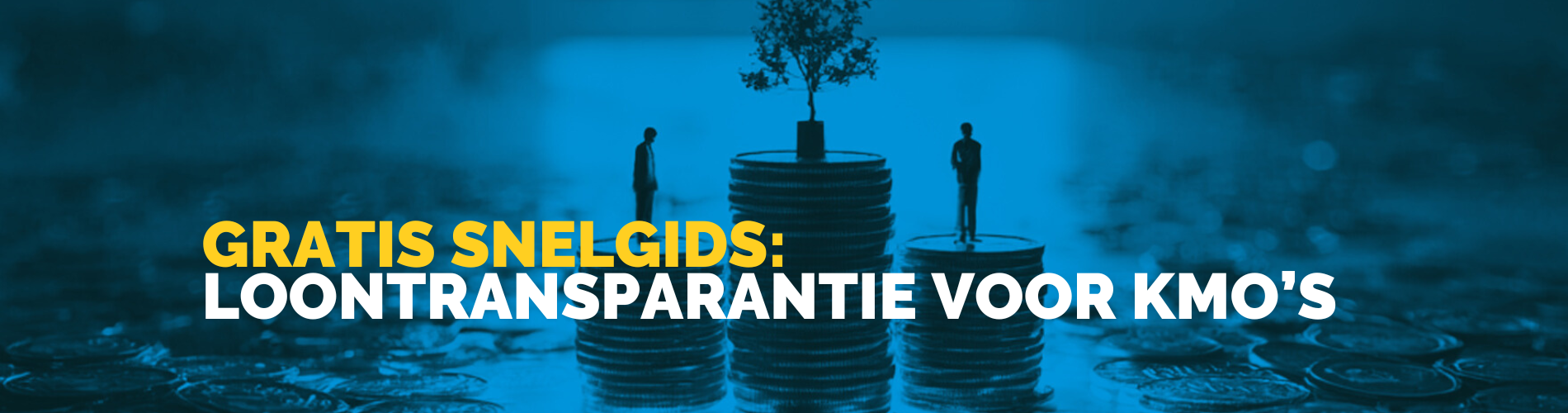 Gratis snelgids: Loontransparantie voor KMO'S