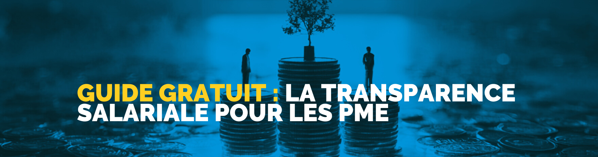 Guide gratuit : La transparence salariele pour les pme