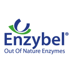 Enzybel