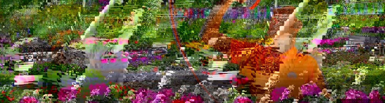 Header Ego2zxupy0ogh0p